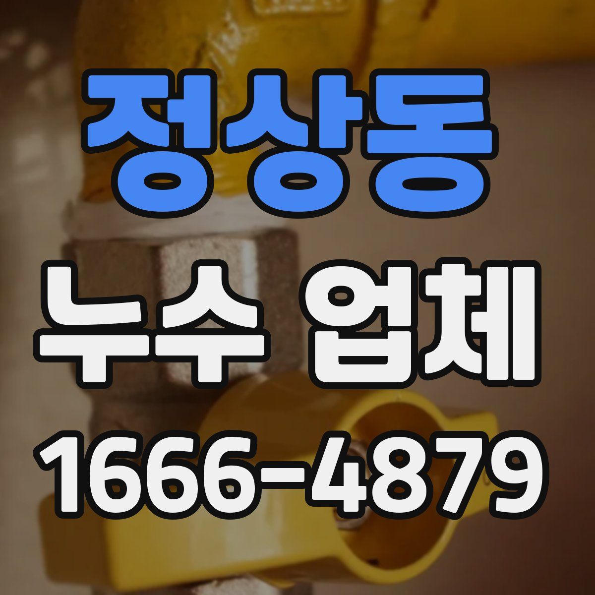 정상동 누수 업체