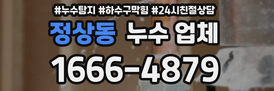 정상동 누수 업체