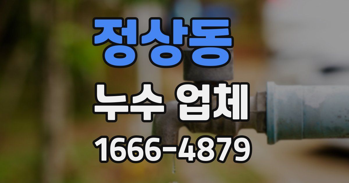 정상동 누수 업체
