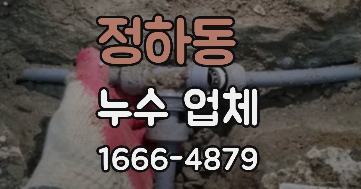 정하동 누수 업체