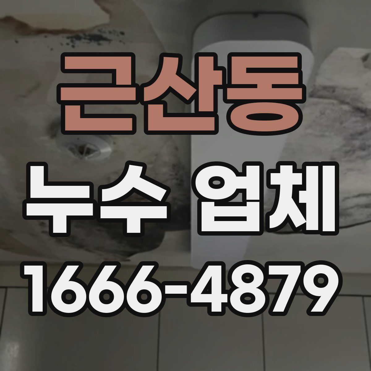 근산동 누수 업체
