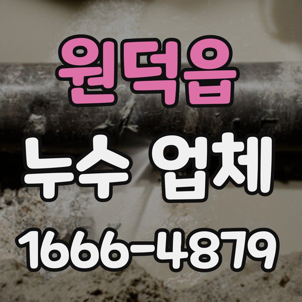 원덕읍 누수 업체