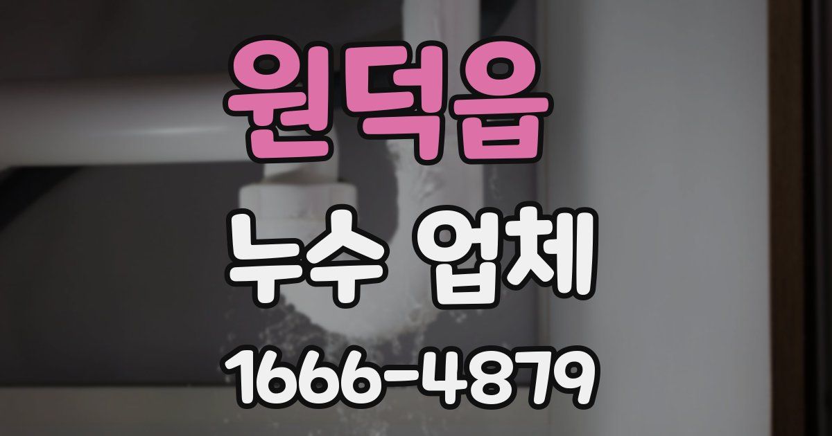 원덕읍 누수 업체