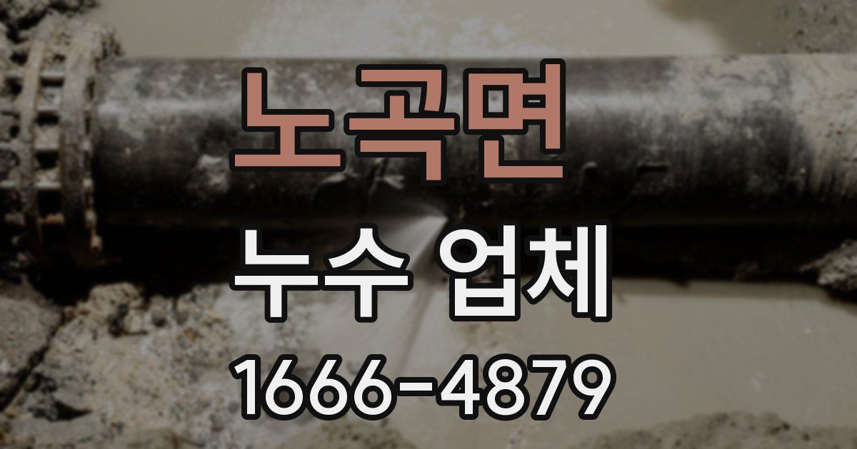 노곡면 누수 업체