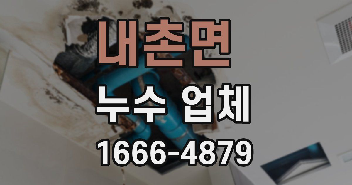 내촌면 누수 업체