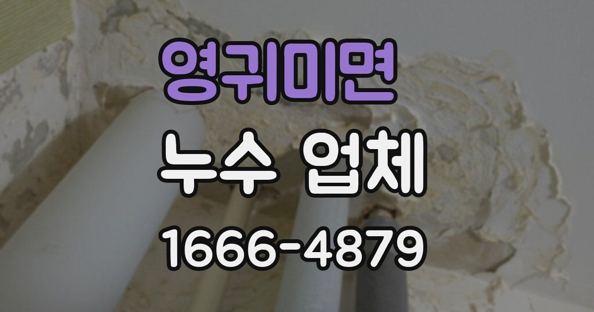 영귀미면 누수 업체