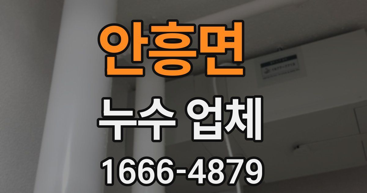 안흥면 누수 업체