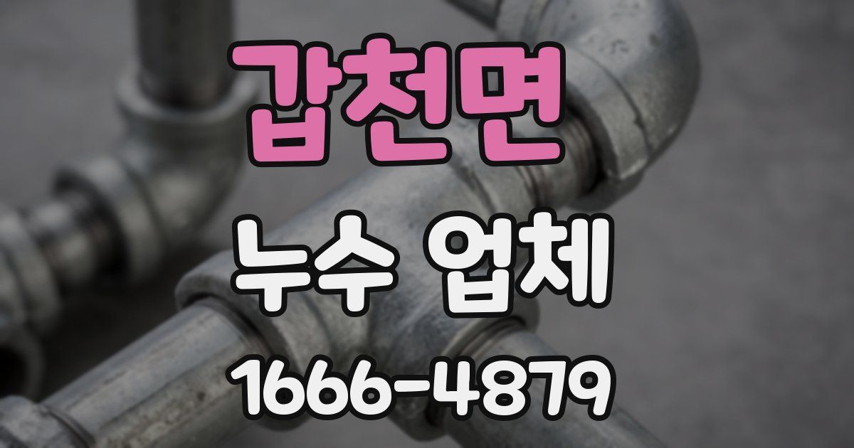 갑천면 누수 업체