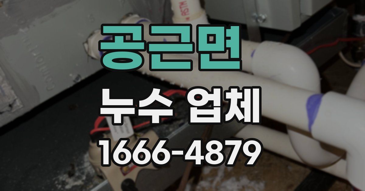 공근면 누수 업체