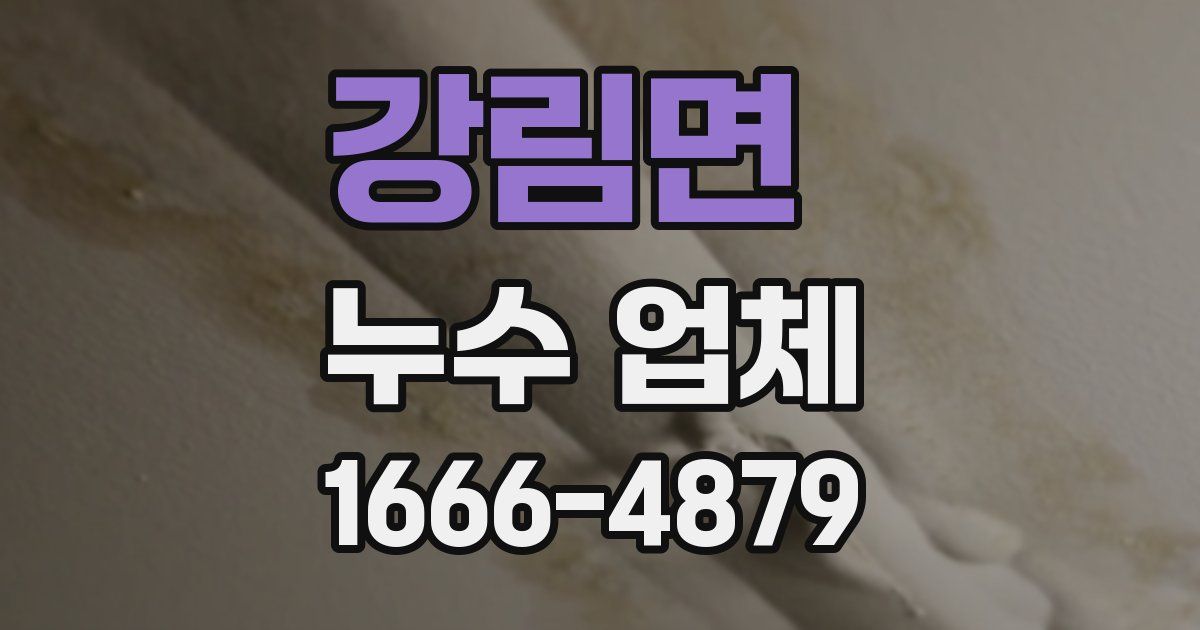 강림면 누수 업체