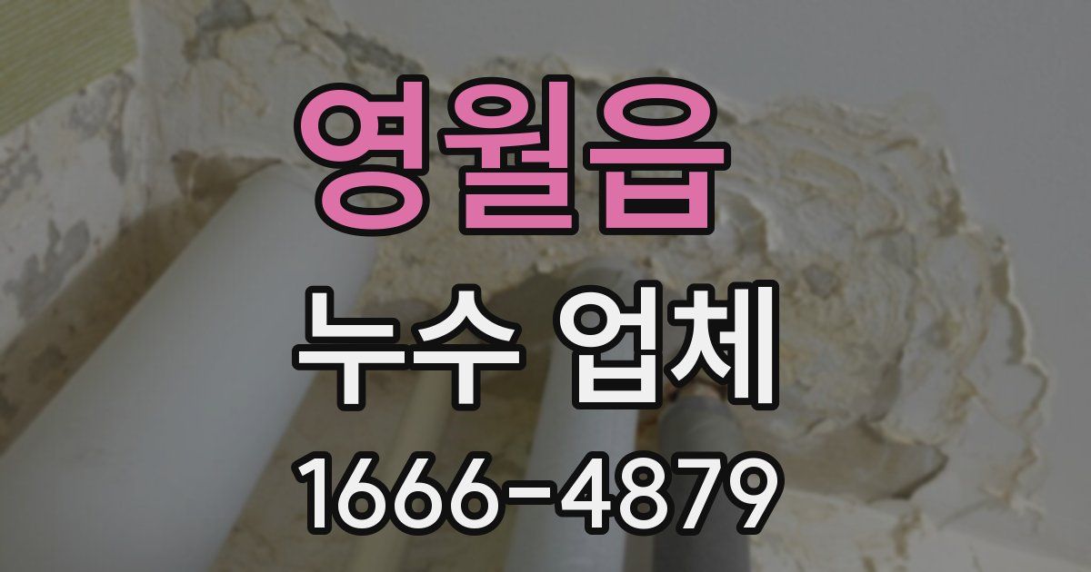 영월읍 누수 업체