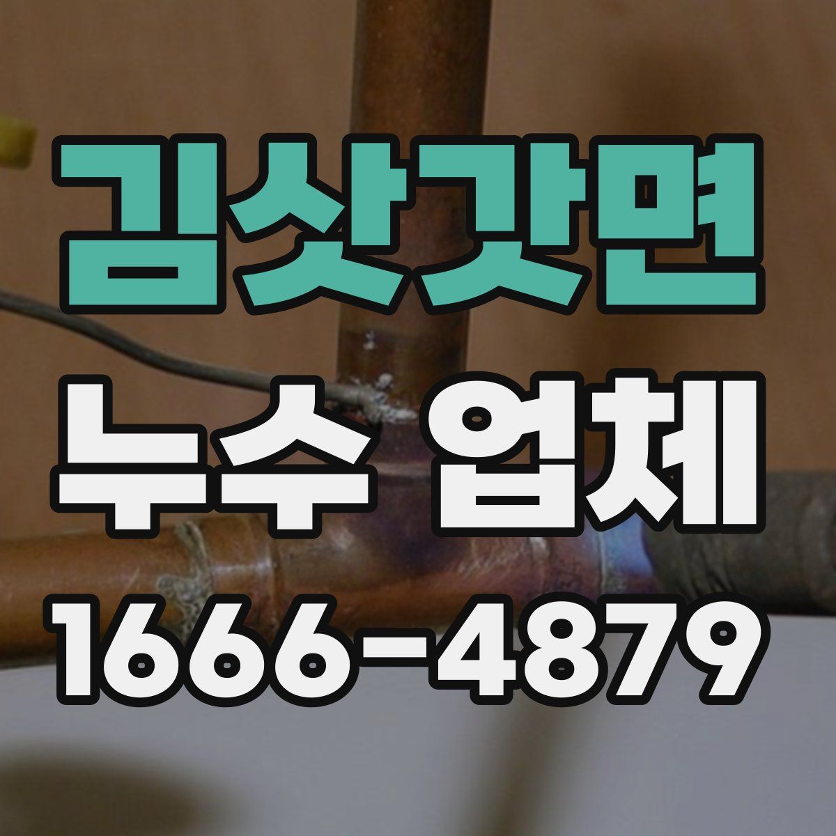 김삿갓면 누수 업체