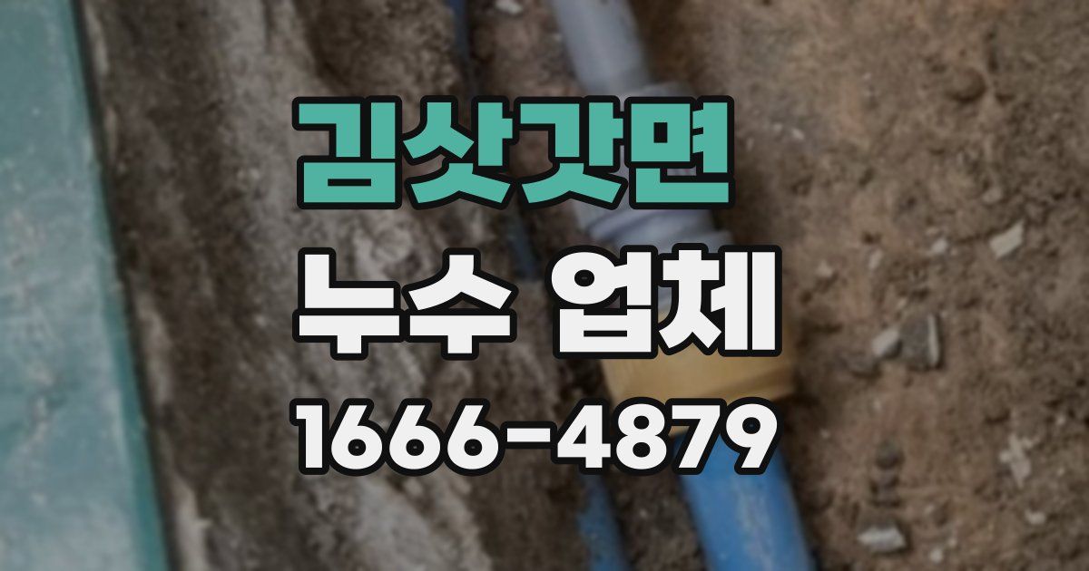 김삿갓면 누수 업체