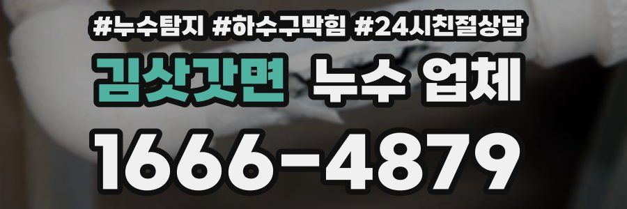김삿갓면 누수 업체
