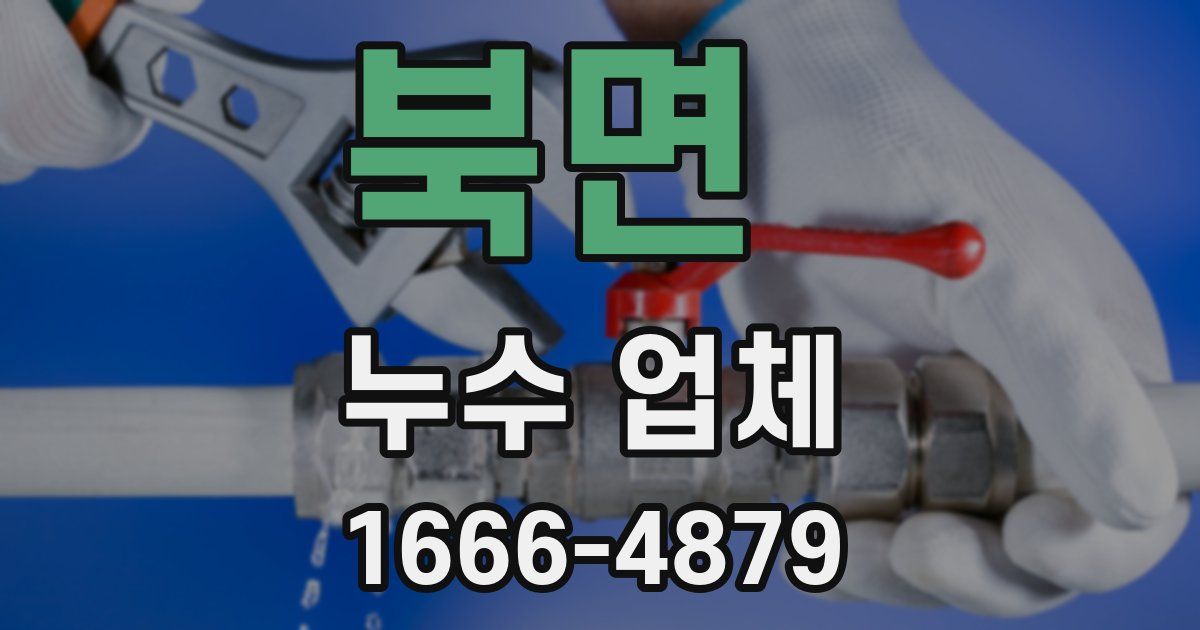 북면 누수 업체