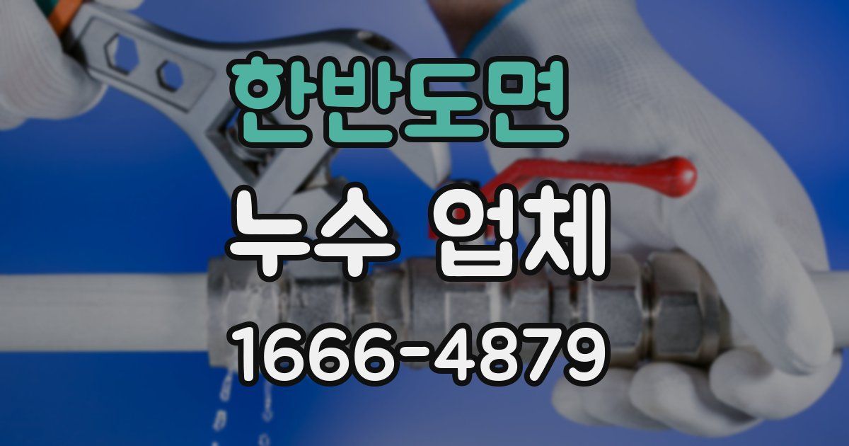 한반도면 누수 업체