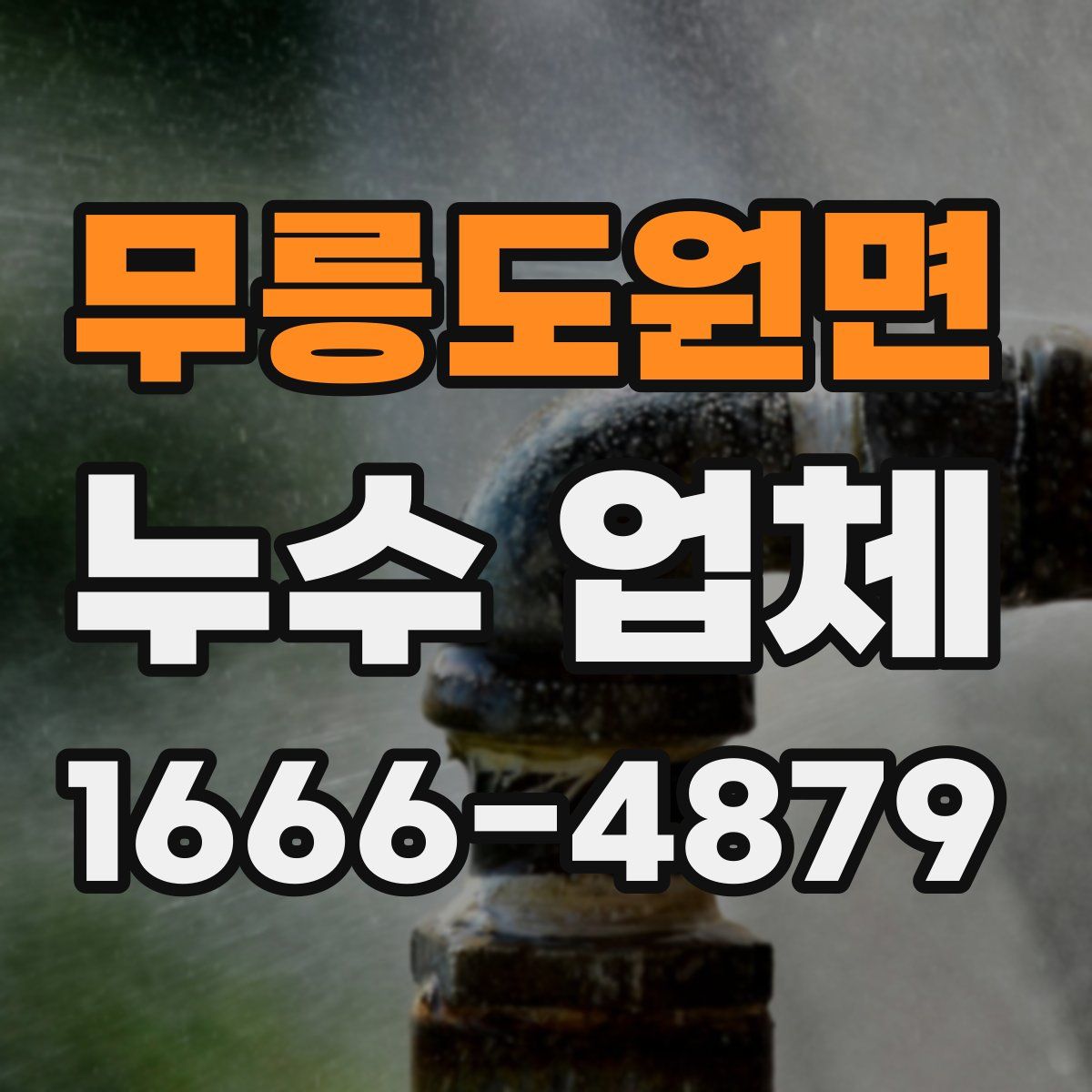 무릉도원면 누수 업체