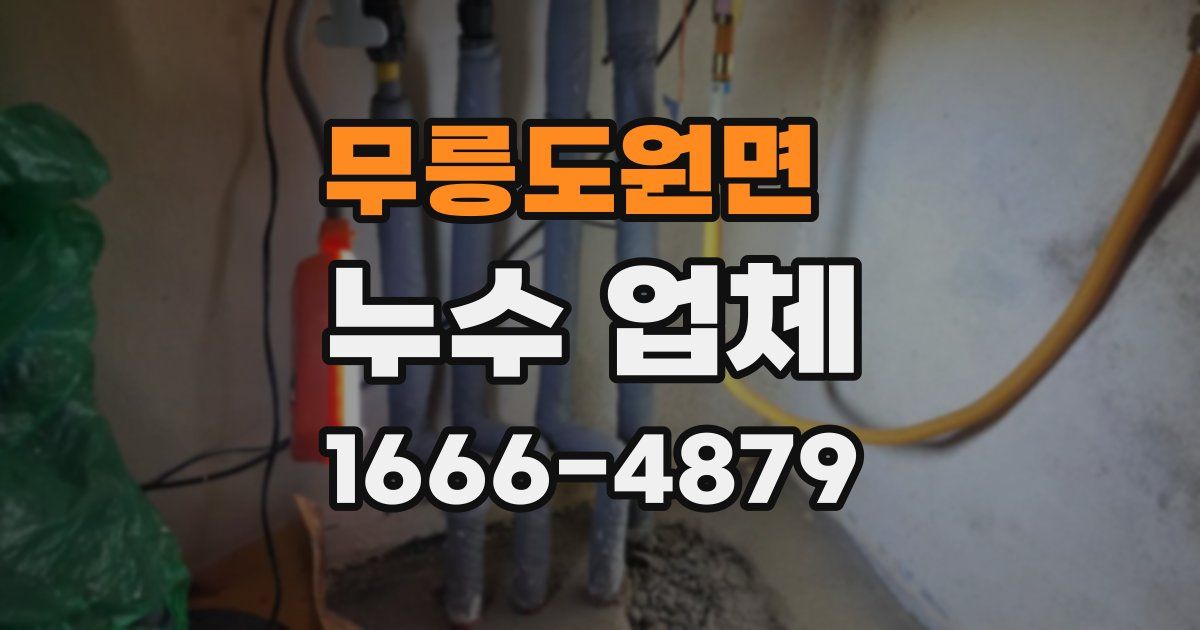 무릉도원면 누수 업체