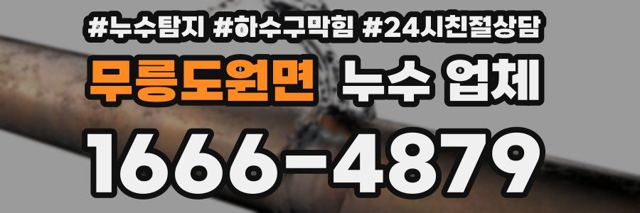 무릉도원면 누수 업체
