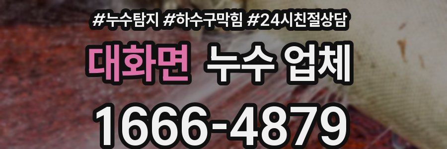 대화면 누수 업체