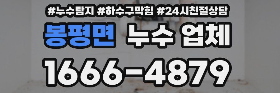 봉평면 누수 업체