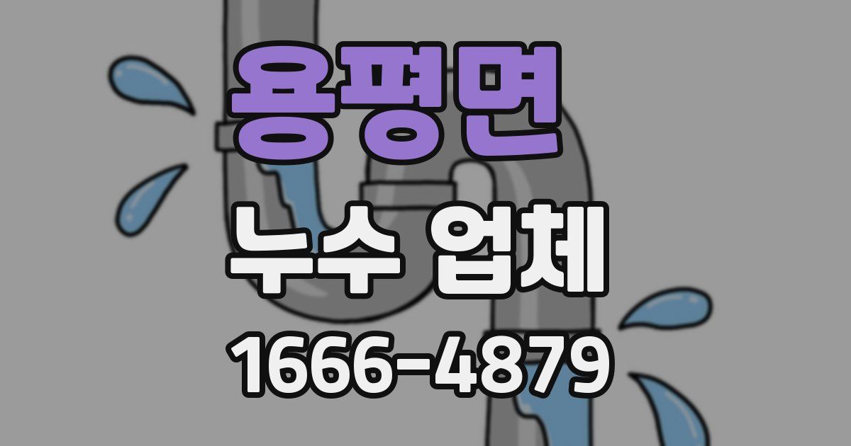 용평면 누수 업체
