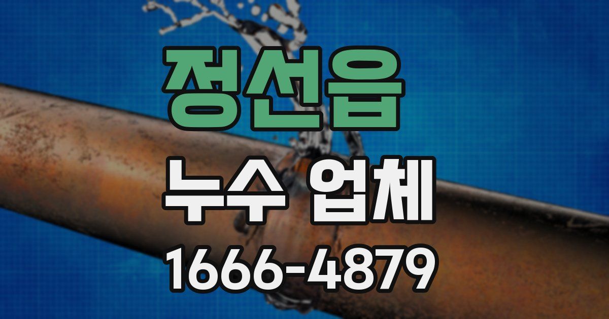 정선읍 누수 업체