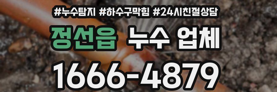 정선읍 누수 업체