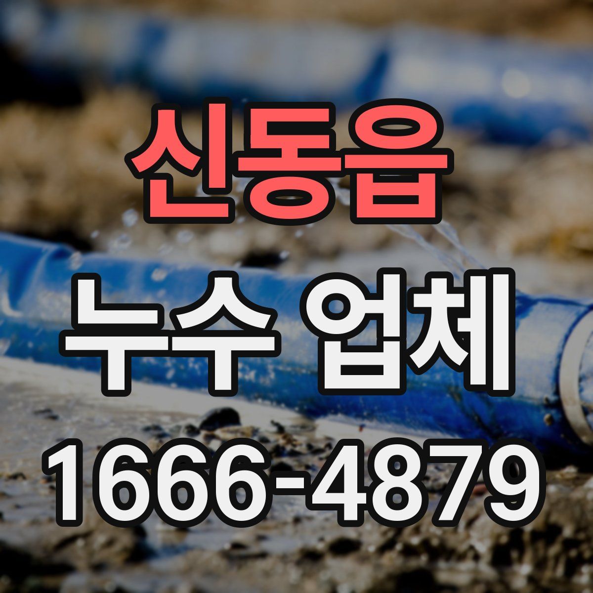 신동읍 누수 업체