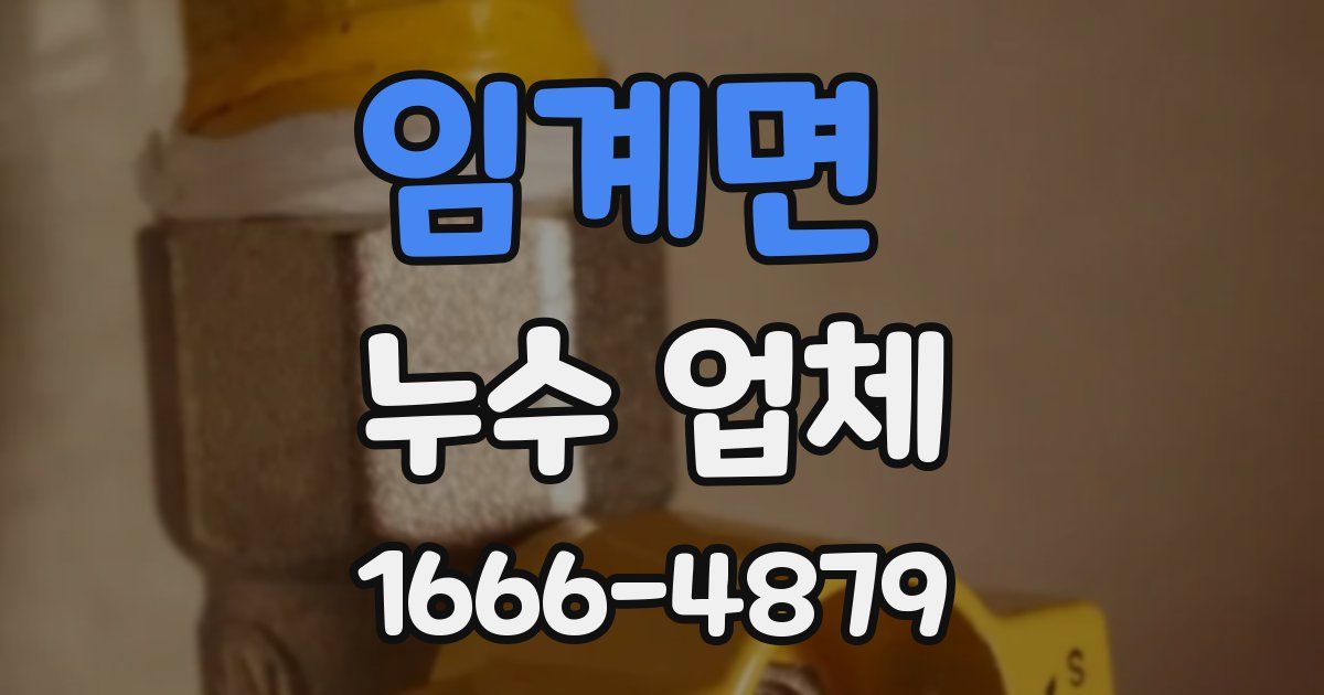 임계면 누수 업체