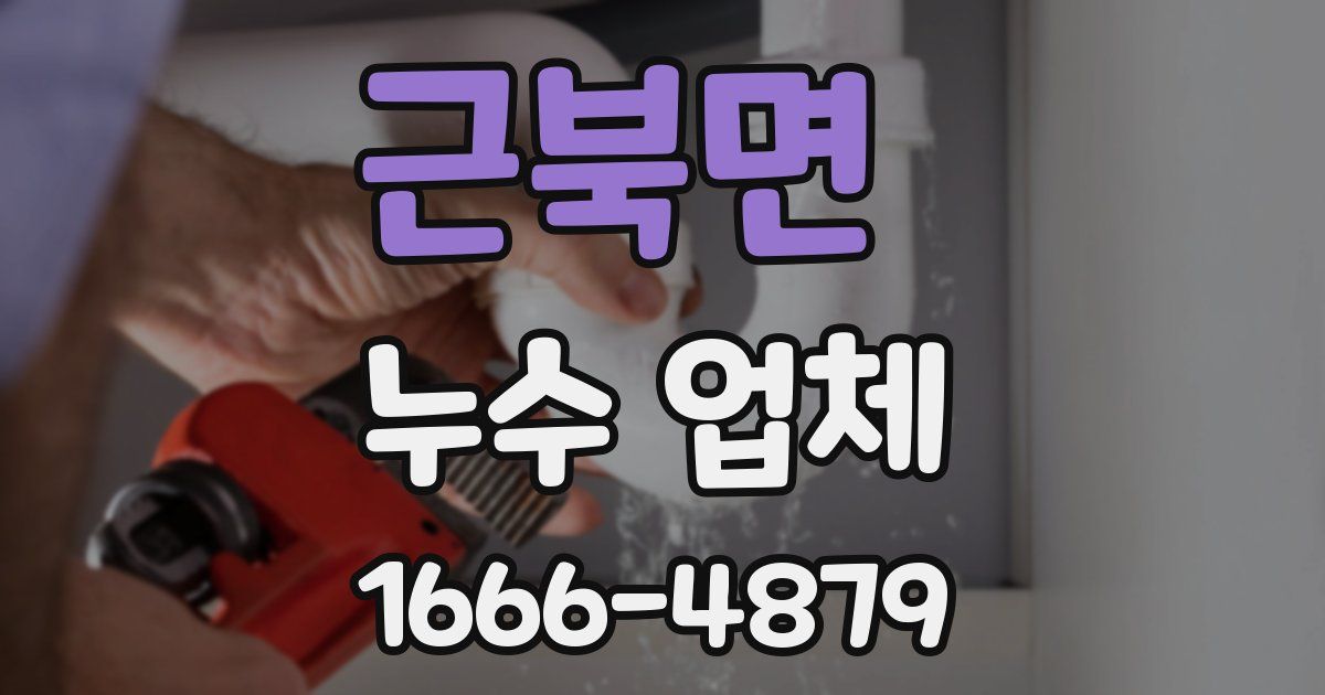 근북면 누수 업체