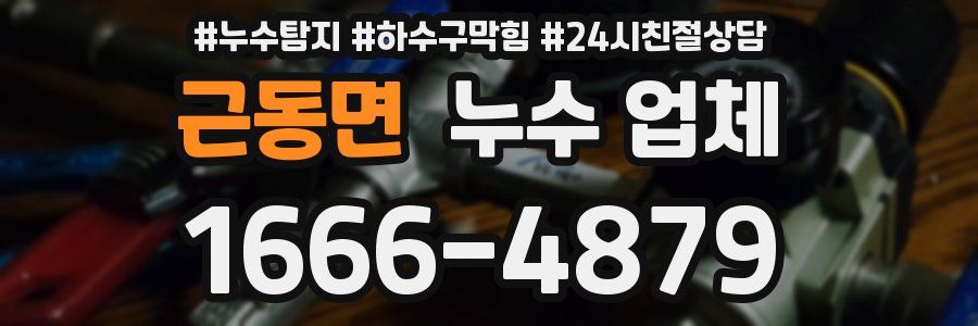 근동면 누수 업체
