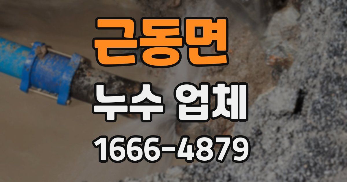 근동면 누수 업체