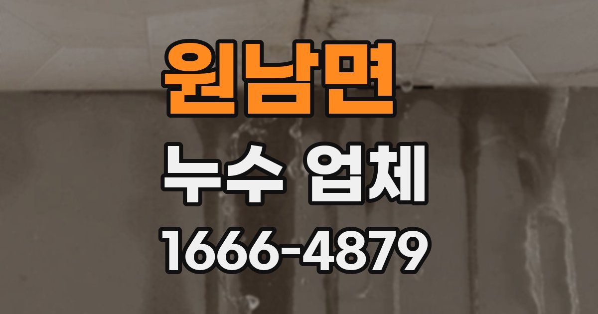 원남면 누수 업체
