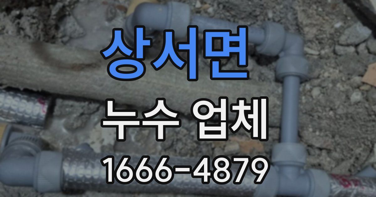 상서면 누수 업체