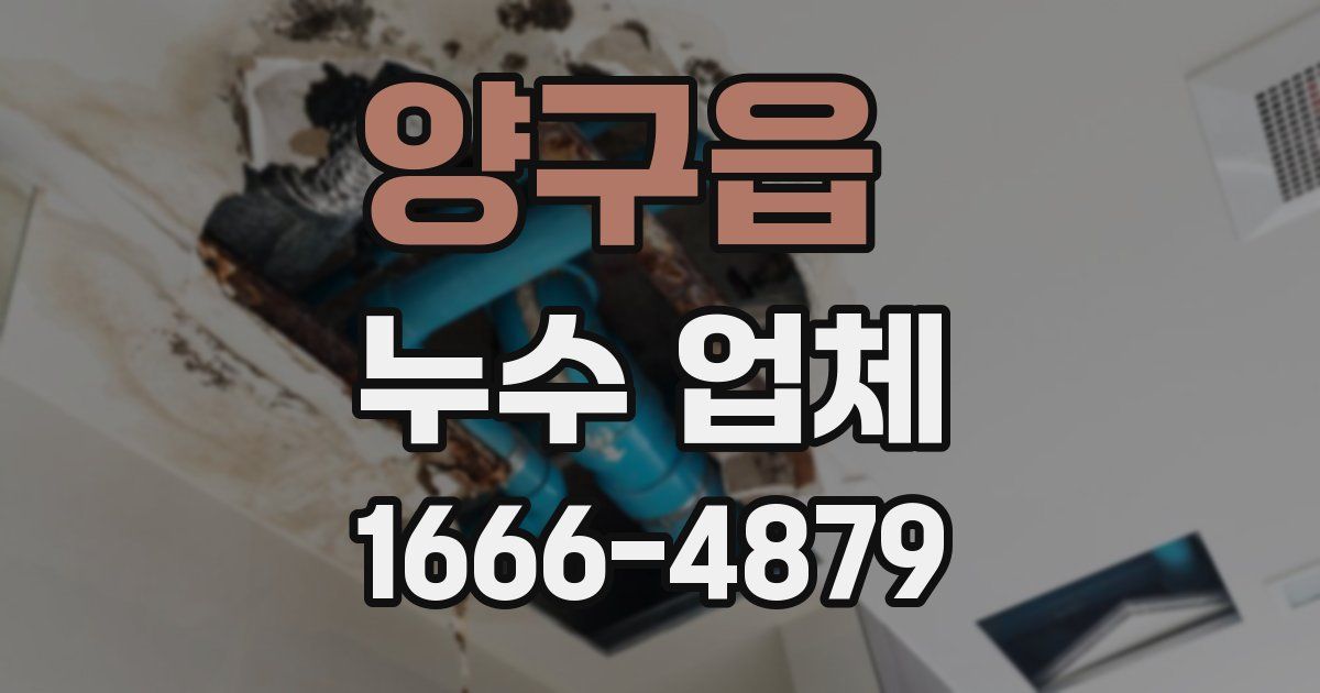 양구읍 누수 업체