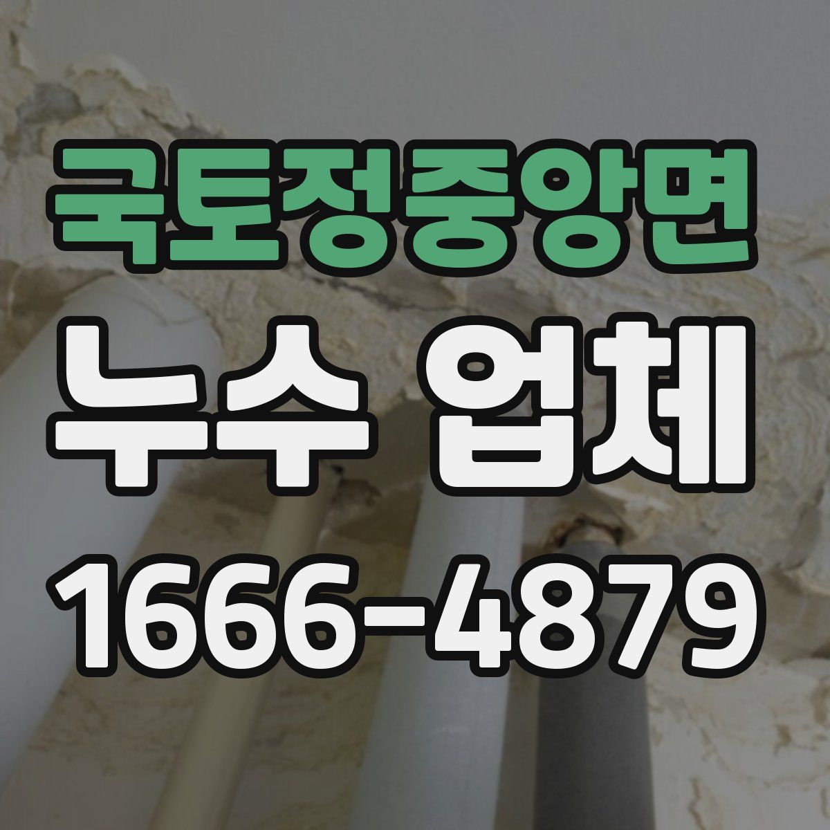 국토정중앙면 누수 업체