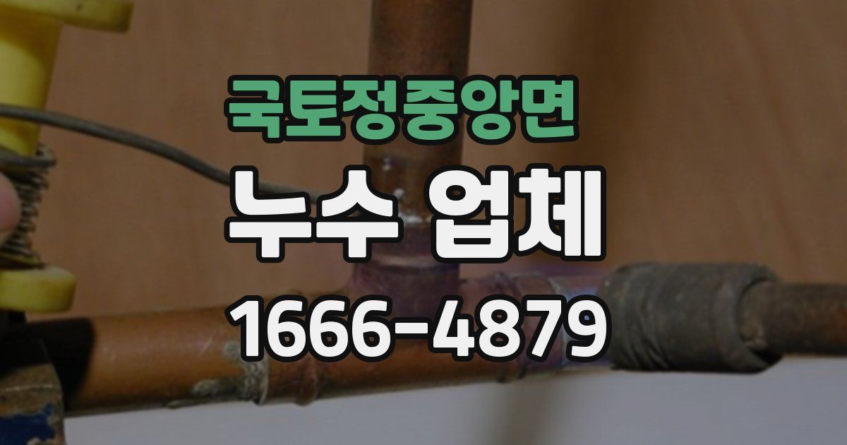 국토정중앙면 누수 업체