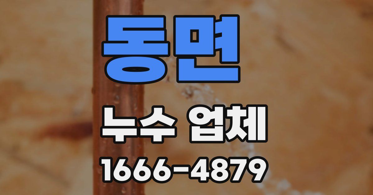 동면 누수 업체