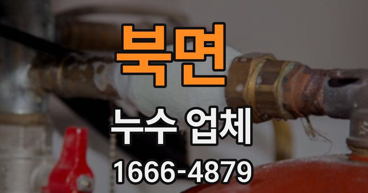 북면 누수 업체