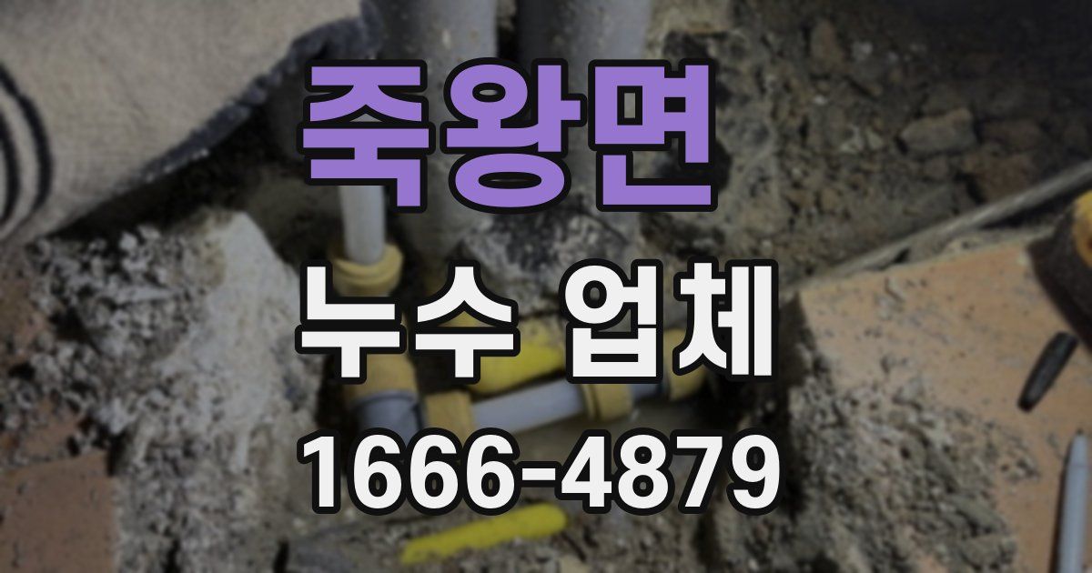 죽왕면 누수 업체