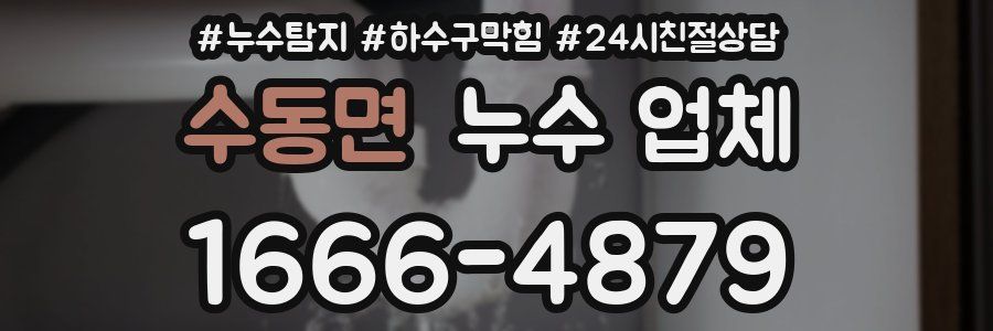 수동면 누수 업체