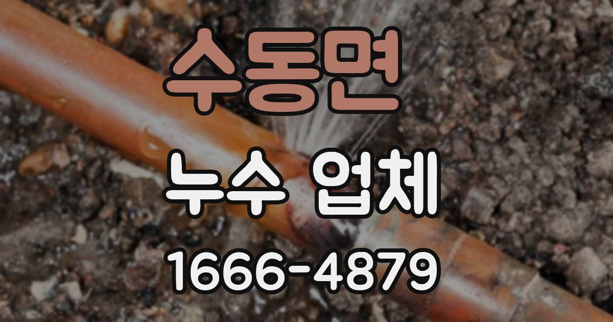 수동면 누수 업체