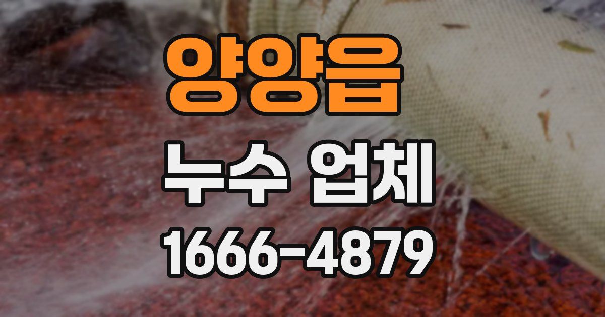 양양읍 누수 업체