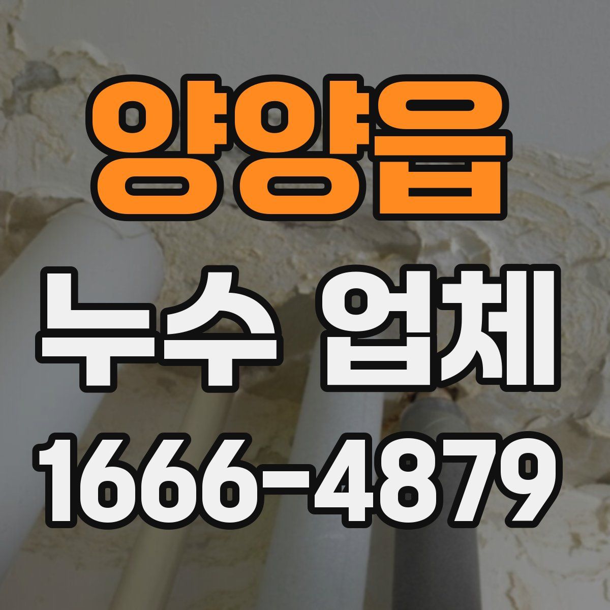 양양읍 누수 업체