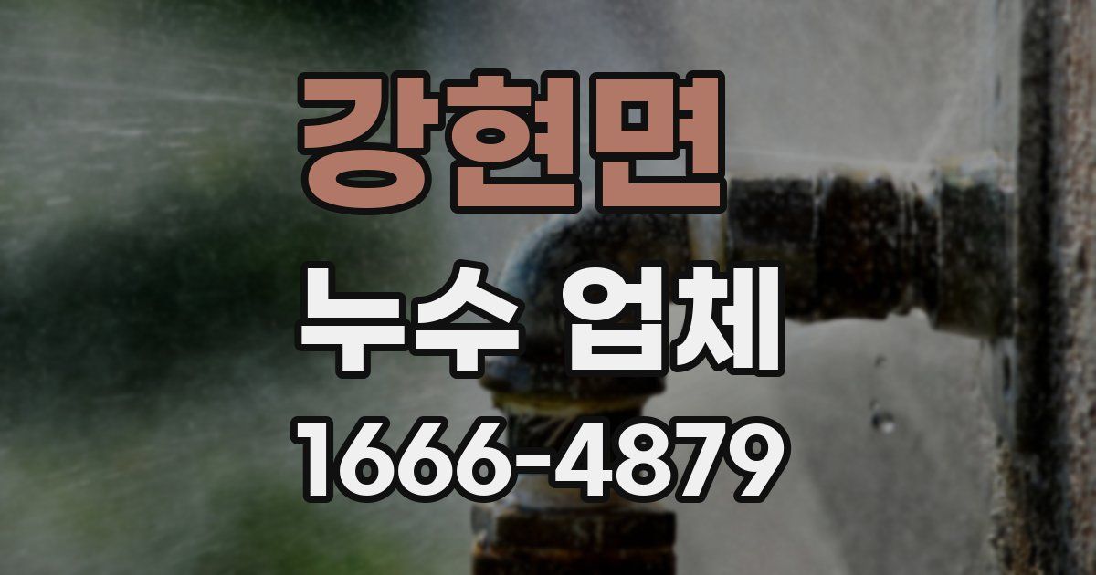 강현면 누수 업체