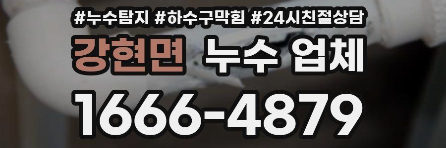 강현면 누수 업체