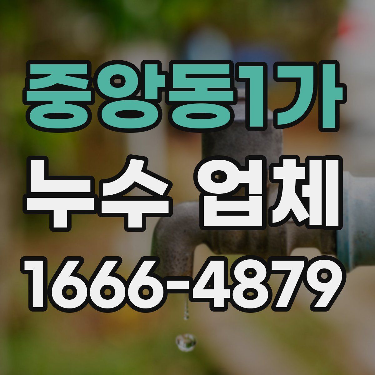 중앙동1가 누수 업체