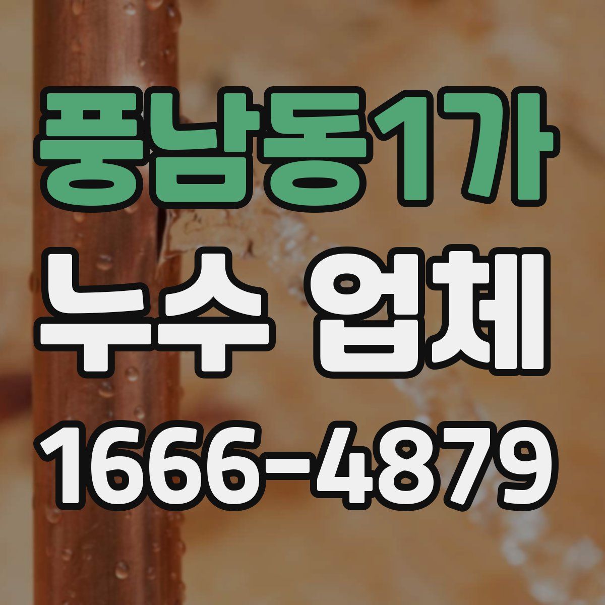 풍남동1가 누수 업체