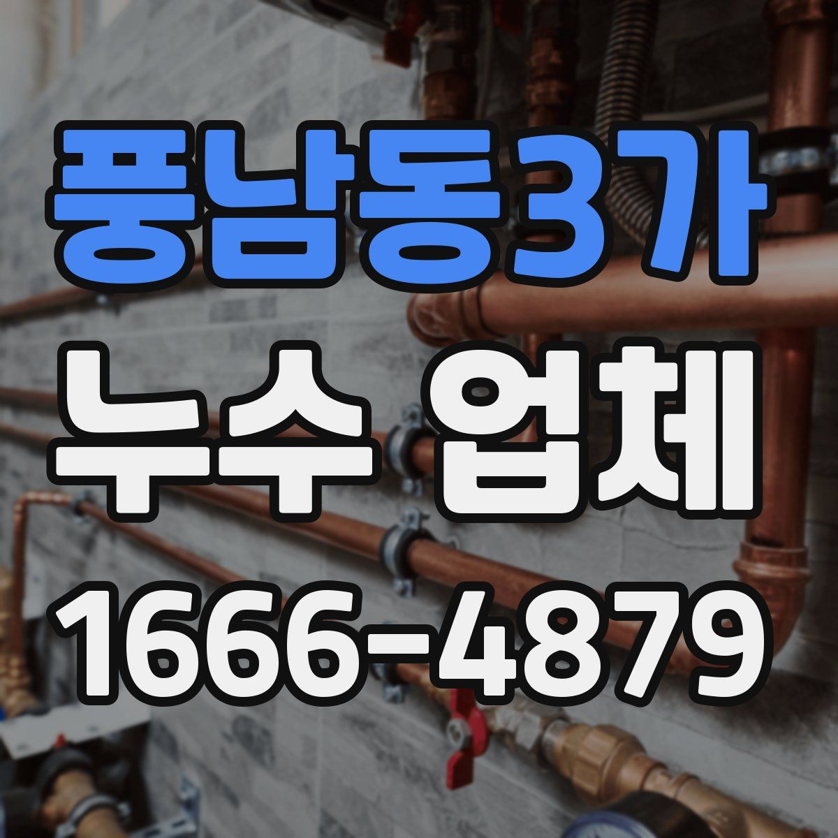 풍남동3가 누수 업체